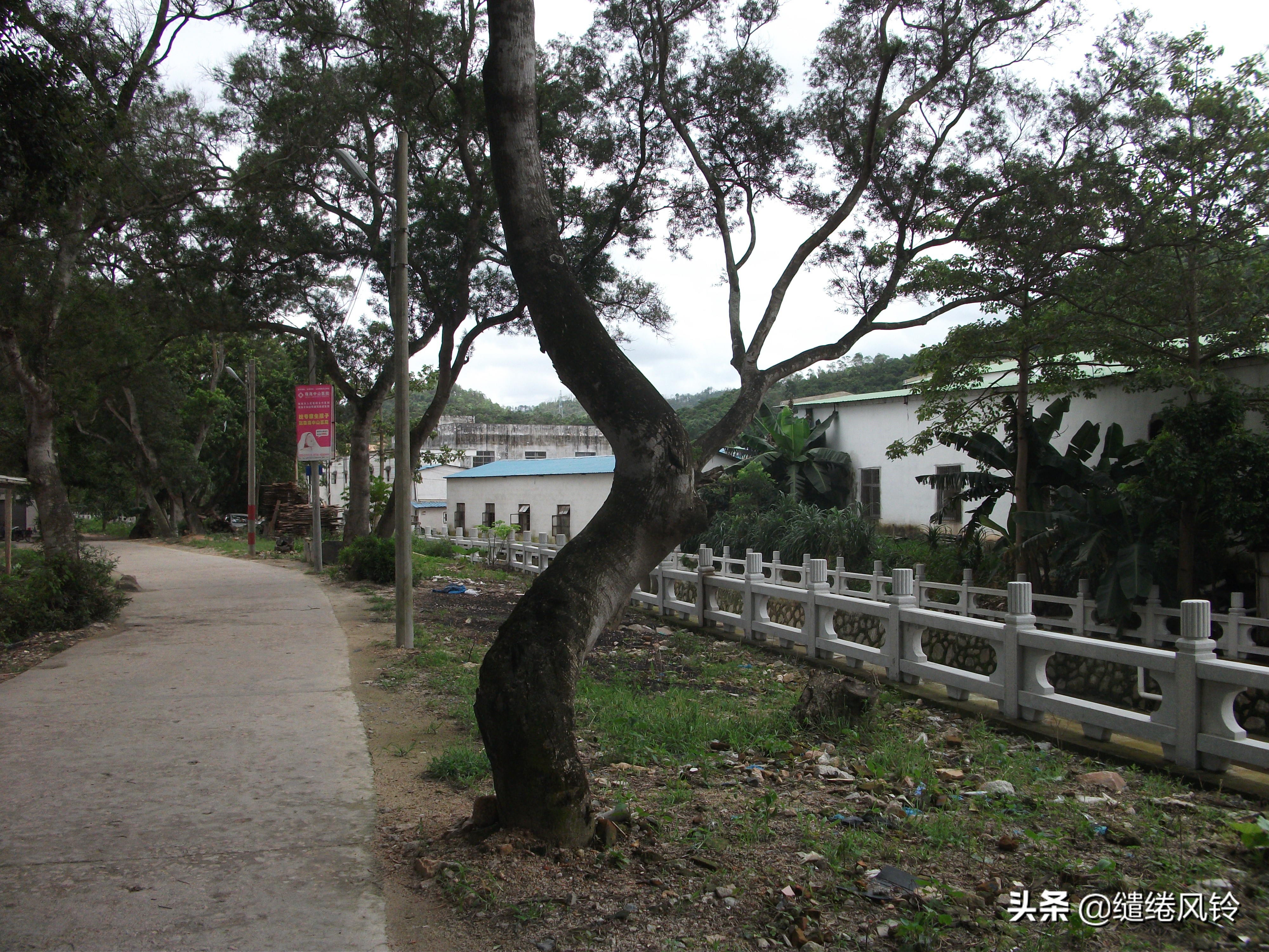 珠海界涌村：山藏古庙云藏树，揭秘清代初年“灵坟后蒙”显灵传闻