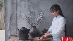 网红李子柒和国家院士袁隆平一起“获奖”？李