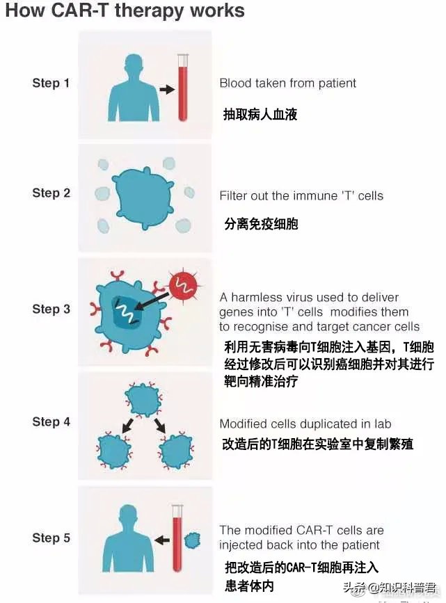 從瀕臨絕望到恢複健康，CAR-T免疫療法讓癌症患者重獲新生