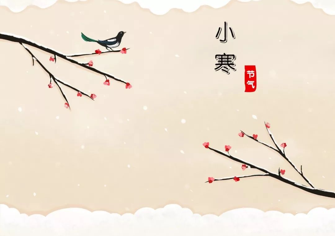 今日小寒｜小寒已至，愿你天寒人不寒