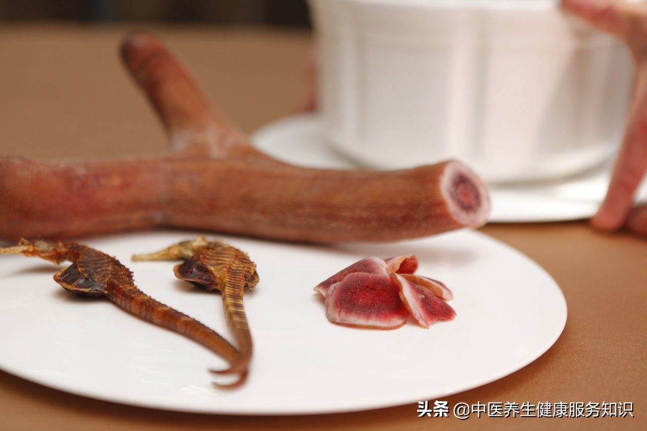 “鹿茸”的功效及其应用