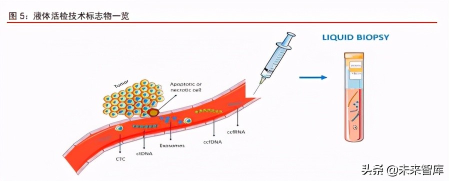 癌症检测行业深度研究报告：液体活检，千亿级癌症检测蓝海