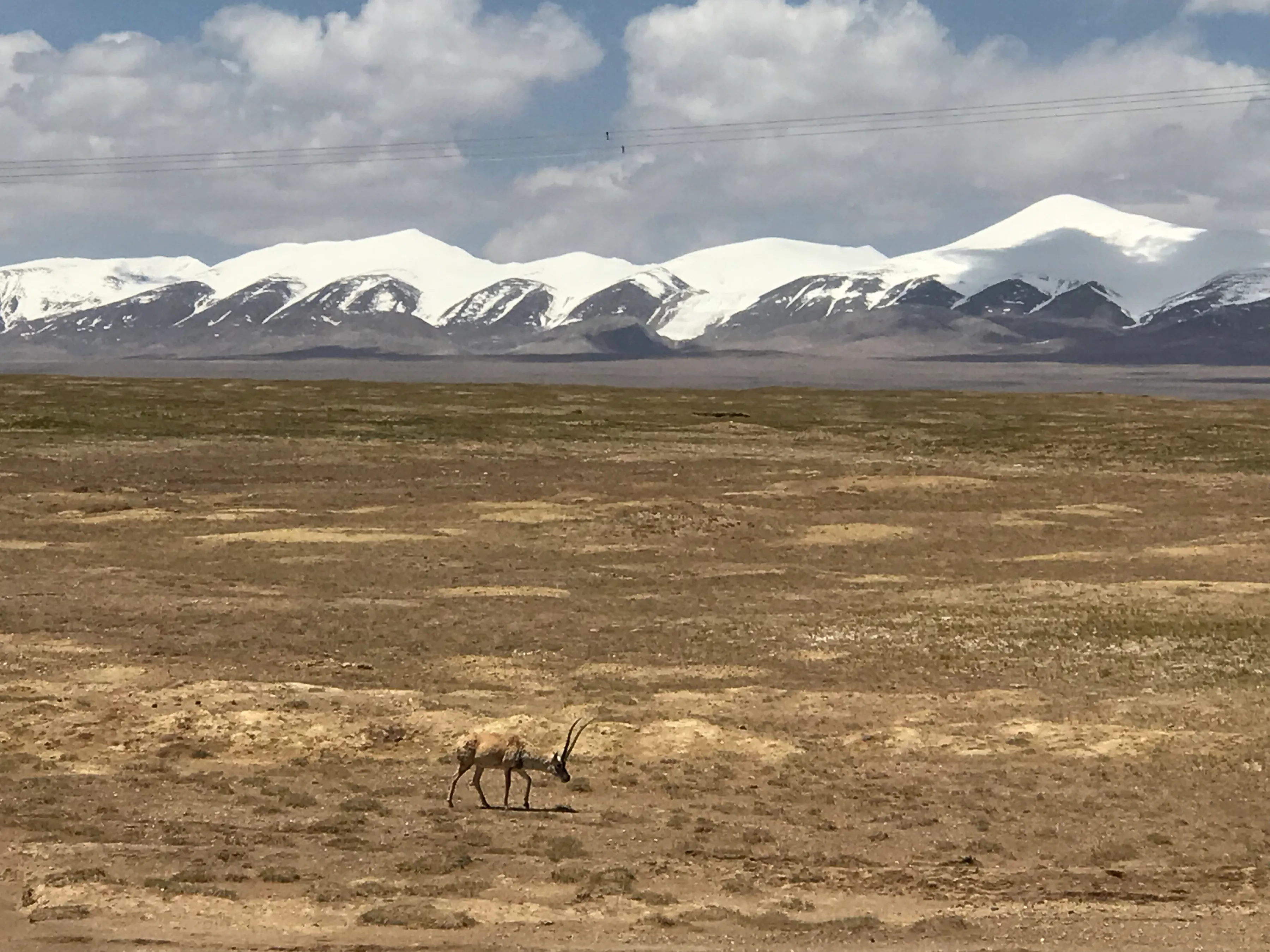 Colorful Qaidam (6) Golmud
