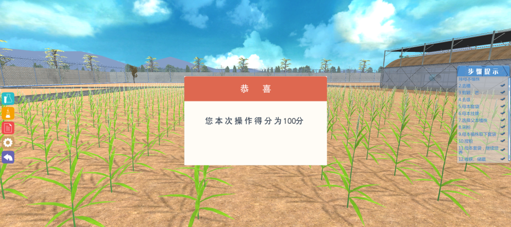 北京欧倍尔作物育种杂交过程－小麦虚拟仿真软件