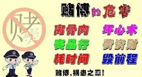 聚焦赌博骗局，远离赌博平台