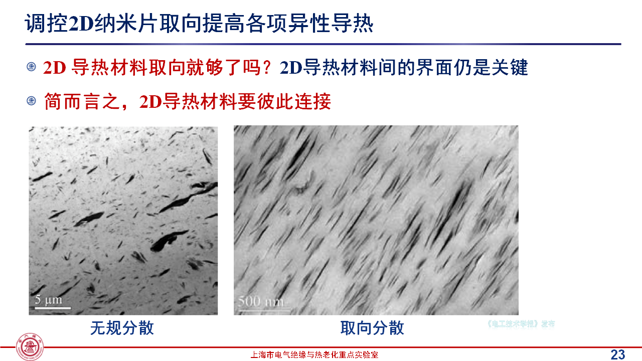 上海交通大學(xué)黃興溢教授：導(dǎo)熱絕緣復(fù)合電介質(zhì)中的界面設(shè)計與實證