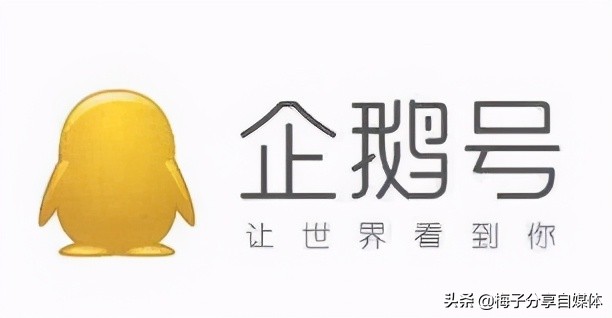 纯干货：20个主流自媒体平台详细对比，自媒体新手入门必看