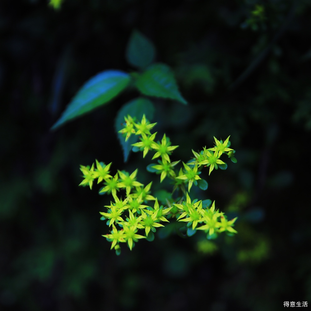 用了一个周末加两天休息时间，自驾去了一趟鄂