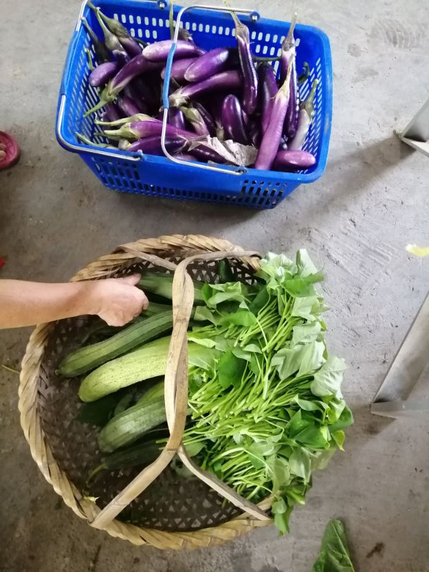 Now heat green " coloring " problem