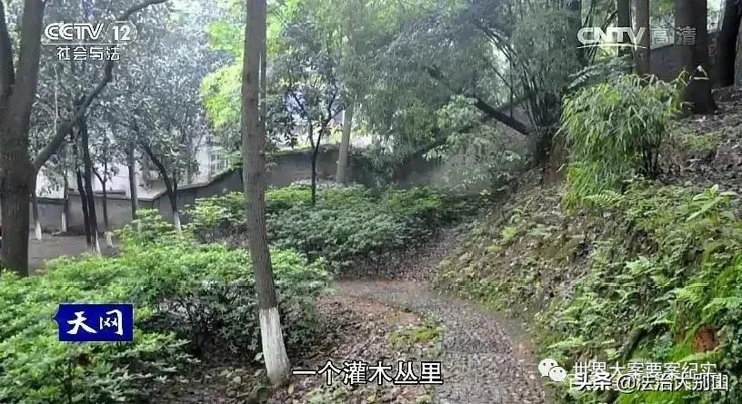 中国大案纪实解读：医院惊现女尸，牵出奸杀大案