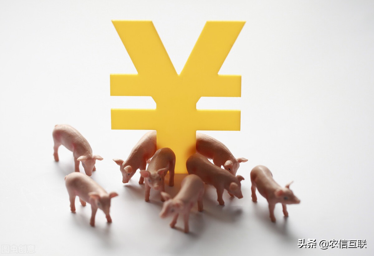 猪价暴跌7元，涨不动了？官方给出答案：6-7月生猪产能恢复正常