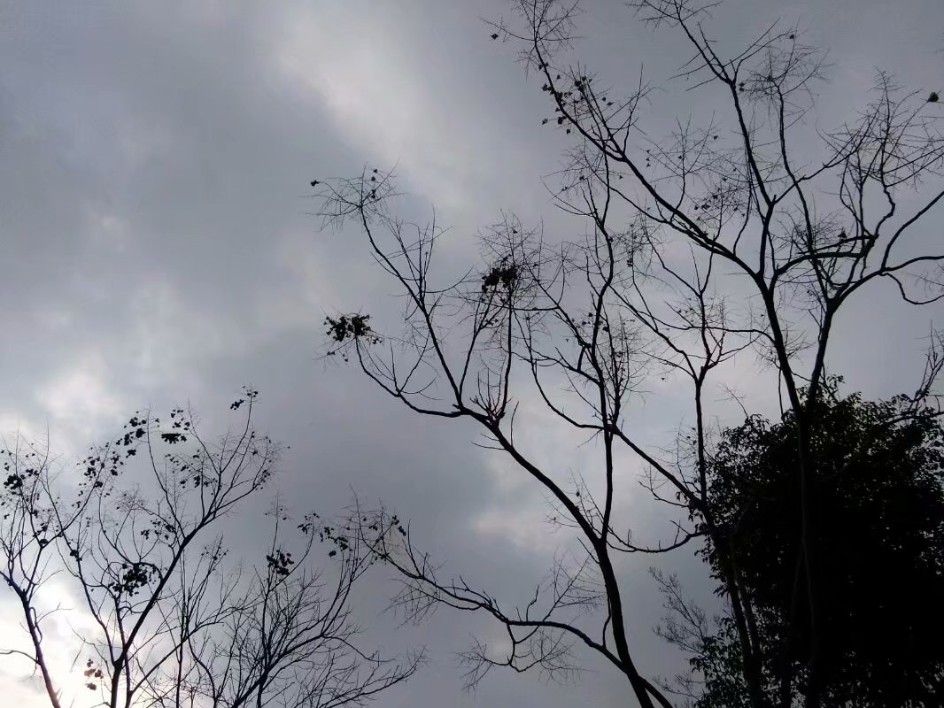农村俗语：“清明晚上两禁忌，不犯禁忌获喜气”说的是什么意思？