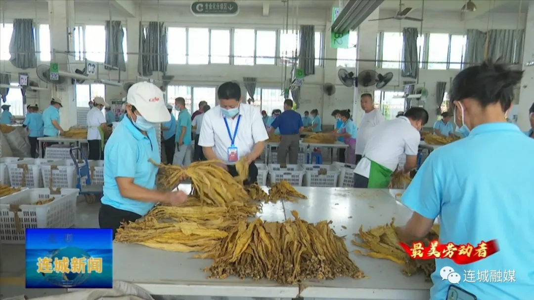 「最美劳动者」黄海锋：积极服务烟农 助农增收致富