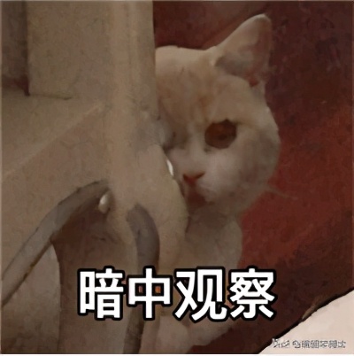 流量时期的抖音营销，其实你可以这样做