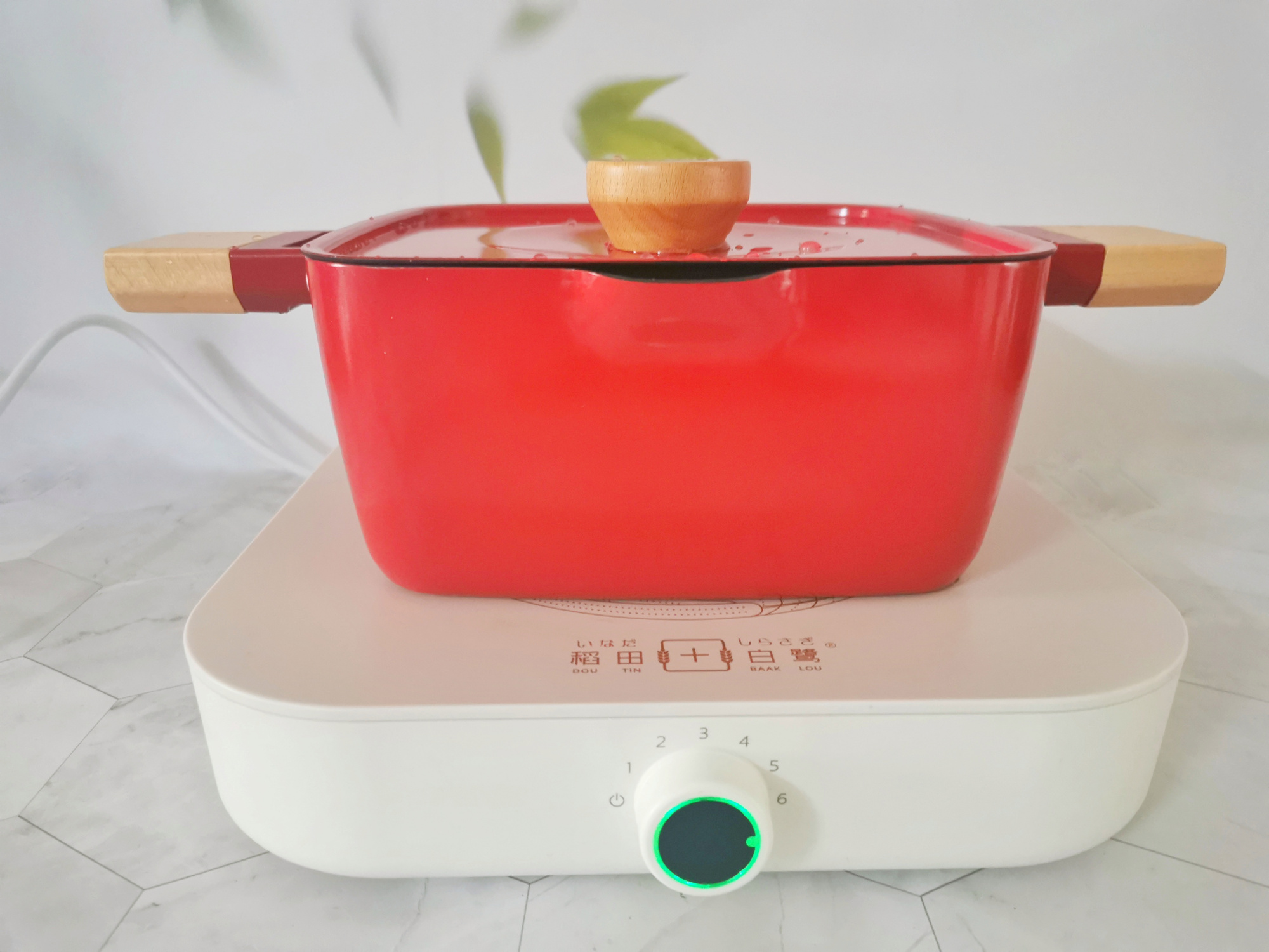 春節，雞湯骨頭湯都靠邊站，這碗甜湯對脾胃好，成本只有5塊錢