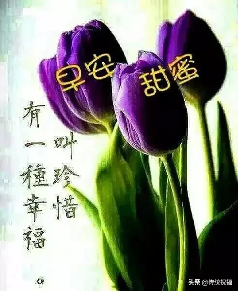 新的一天,一声问候。早安