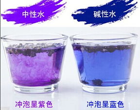 黑枸杞泡水喝的方法:简单的热水冲泡同样大有学问