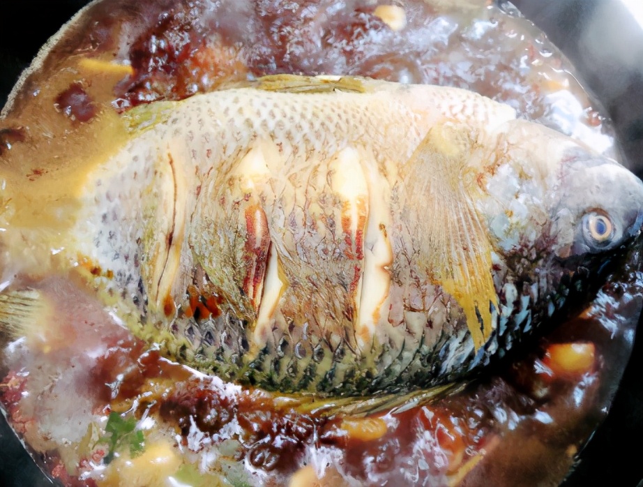 图片[5]-红烧罗非鱼的做法步骤图-起舞食谱网