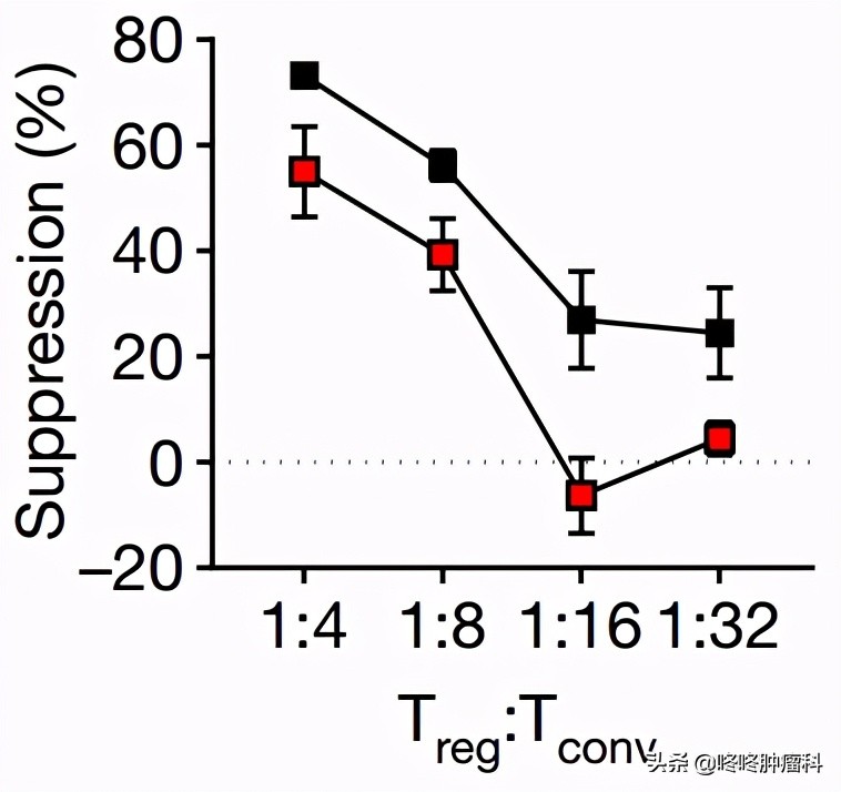 “餓死癌細胞”又有新理論：癌細胞搶糖吃，導致免疫療效減弱