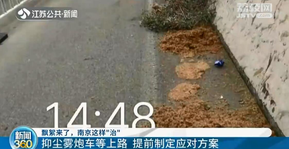 梧桐飘絮又来了！南京这样&ldquo;治&rdquo;