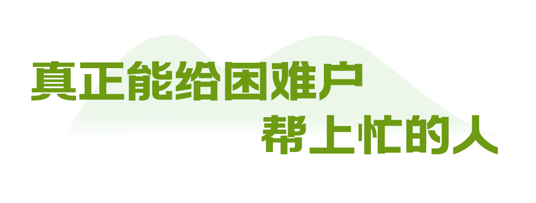 向总书记报告丨金鞍跃马好扬鞭