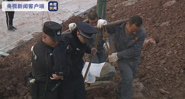 自贡发现距今1.6亿年恐龙化石 已运抵自贡恐龙博物馆