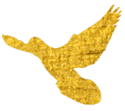 Come, lift up or let down with a rope is enough your appetite! 