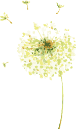 這些環(huán)保小知識(shí)請(qǐng)你收下