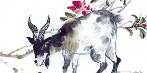 1979年出生的属羊人2019年运势