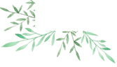 教师节丨泸州新时代最美教师名单出炉！还有这些教师、班主任受表扬