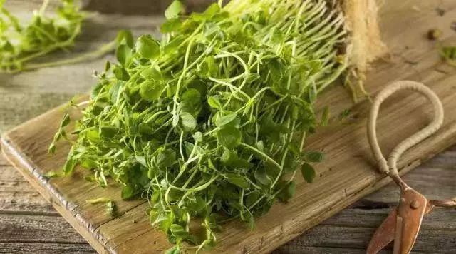 营养丰富的 5 种蔬菜，很多人都吃错了