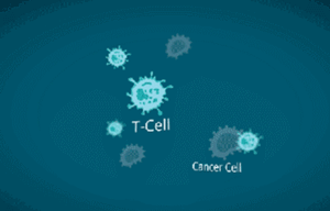 40�������ϵͳ���ױ���������������������õġ�����ҩ��