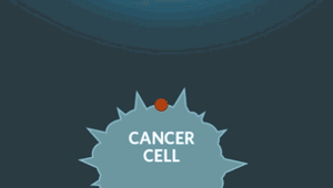 40�������ϵͳ���ױ���������������������õġ�����ҩ��