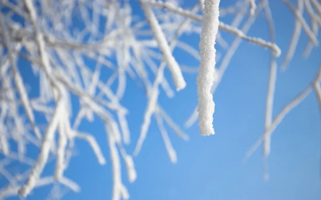 冬天的美-第4张图片-诗句网