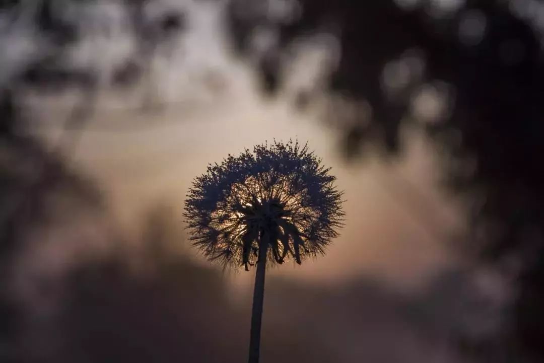 悦读 | 俞敏洪：教育是非常复杂的行业，要用最顶级的人才做最伟大的事业