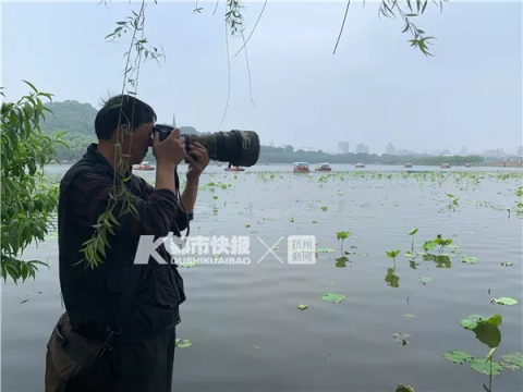 71 an affectionate couple are born in the west lake this year, died 18, majority is to be maintained dead! Sliver comes is bowel of melon seeds, ham, potato completely piece! 