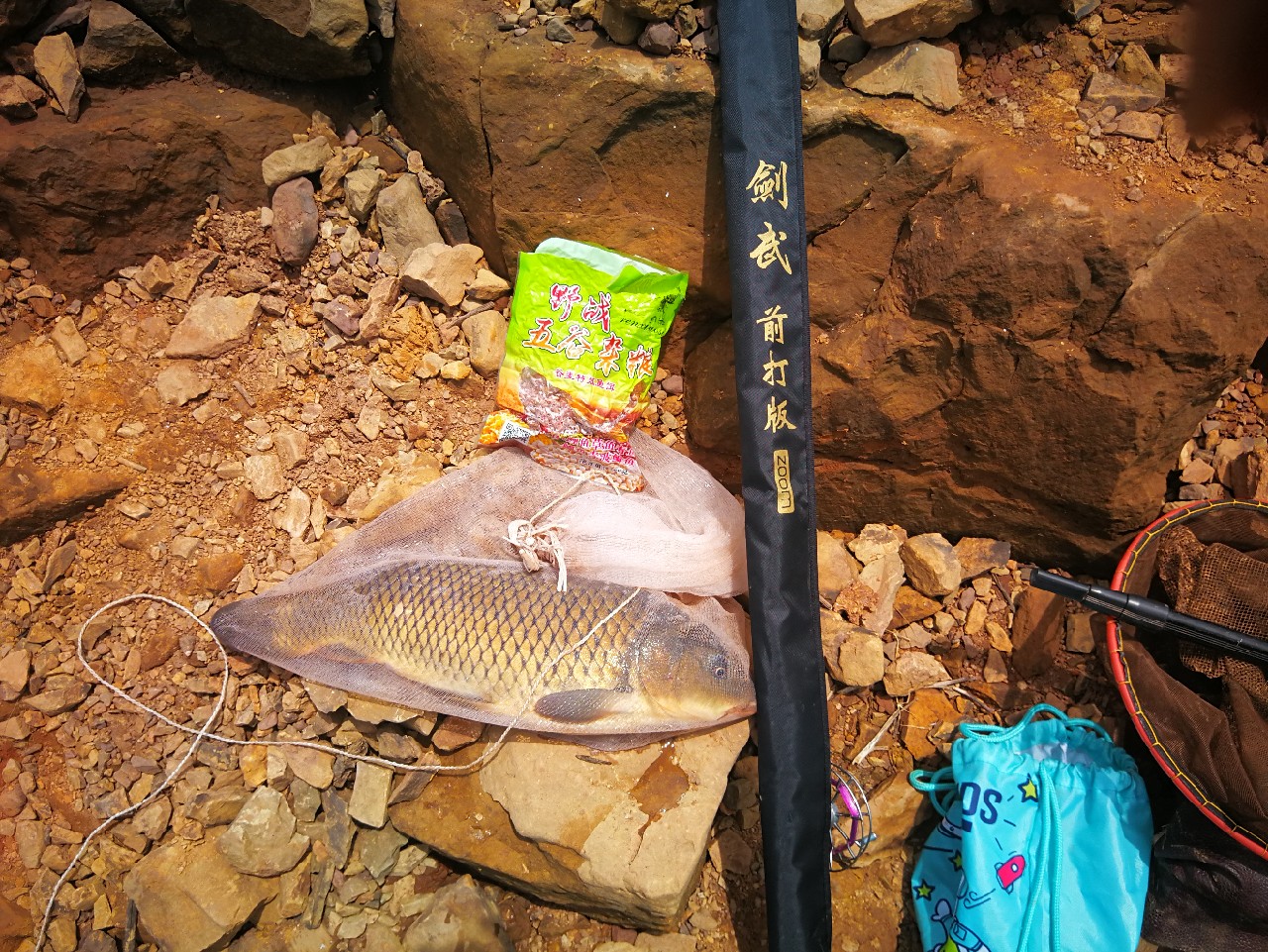 台钓玩久了也玩玩谷麦钓法心得秘笈送钓鱼爱好者