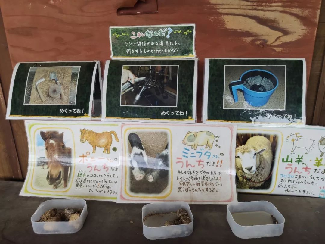 日本休閑農(nóng)業(yè)教育探尋：戶外自然教室中的趣味教具與設(shè)施設(shè)計