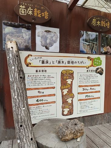 日本休閑農(nóng)業(yè)教育探尋：戶外自然教室中的趣味教具與設(shè)施設(shè)計