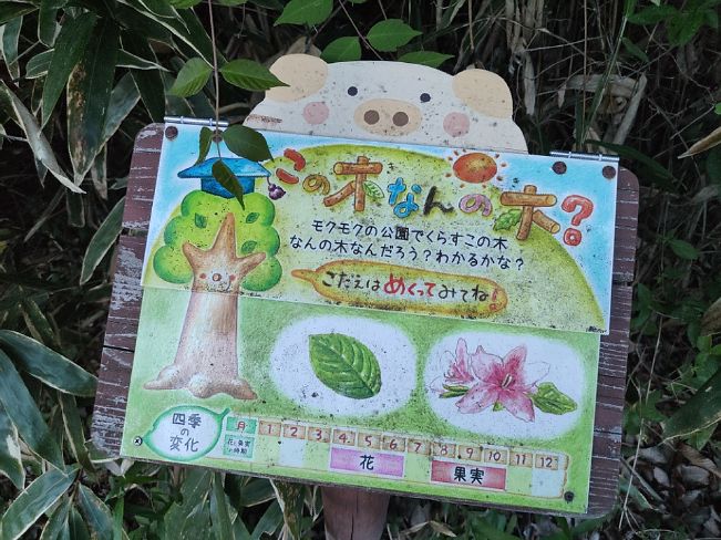 日本休閑農(nóng)業(yè)教育探尋：戶外自然教室中的趣味教具與設(shè)施設(shè)計