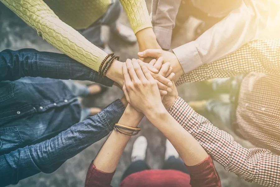 一份难吃的炒鸡蛋，引发世界级公司倒闭的故事