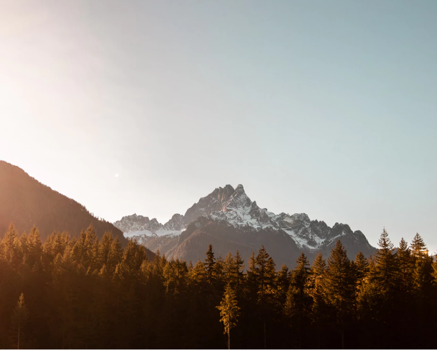 ��̼�к͡�ר��ϵ���о����� | �й�̼�к��ص���ҵ��������ͨ����ƪ��