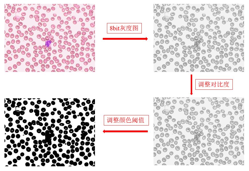 科研论文作图之ImageJ
