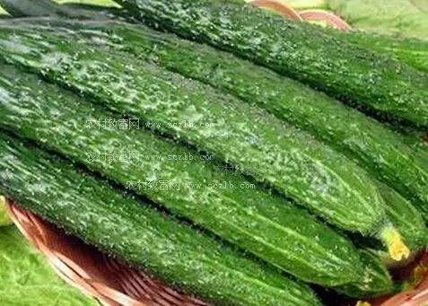 The word says old Beijing -- cucumber