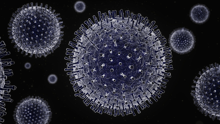 高福等7名专家呼吁重新命名新冠状病毒：“SARS-CoV-2”具有误导性
