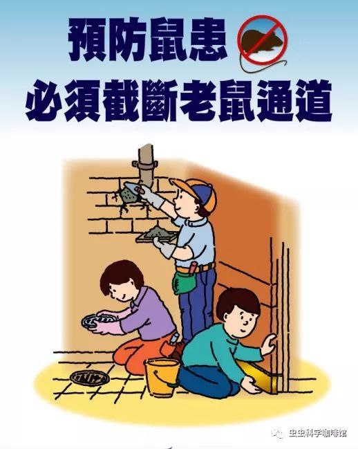 技术 | 春季灭鼠,一起行动起来