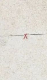 清明节的由来和*俗