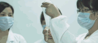 改良自《本草纲目》的护眼良方，眼睛疲惫一贴