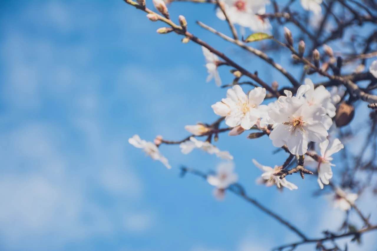 这45首经典古诗词，你只知一句，却不知全文-第1张图片-非凡网