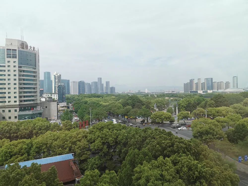 义乌求生记